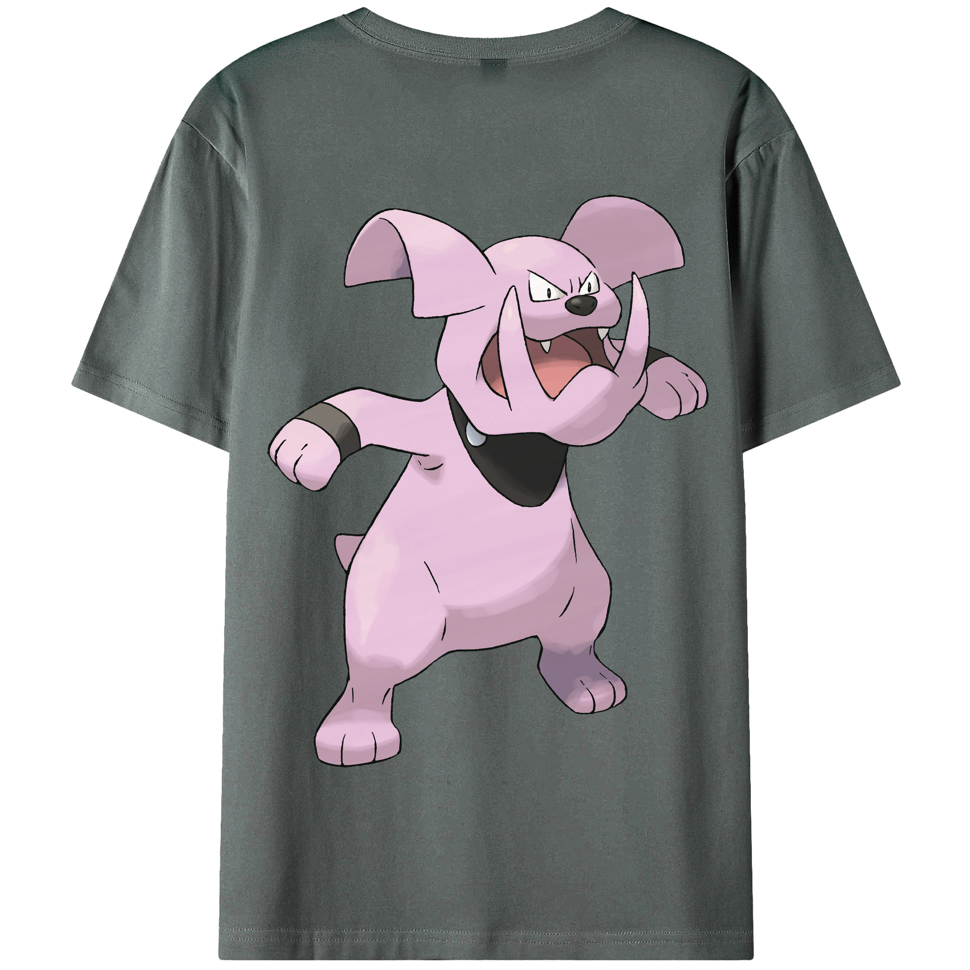 （画像用） ポケットモンスター Pokémon 綿100％半袖Tシャツ（背面プリント）